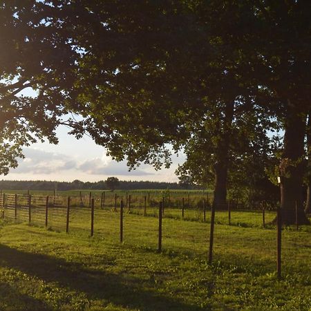 Ferienhaus Grafenland Dersum Kültér fotó